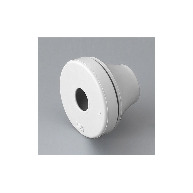 Bande De Recouvrement Rittal 3093.020 Polyamide Gris Clair (RAL 7035